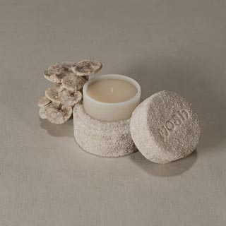 Skincare y Perfumes utilizando Mosh